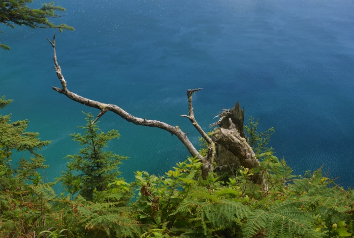 The view from the top of Cape Lookout
